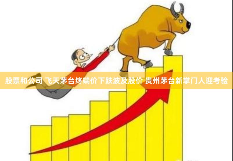 股票和公司 飞天茅台终端价下跌波及股价 贵州茅台新掌门人迎考验