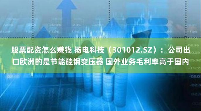 股票配资怎么赚钱 扬电科技（301012.SZ）：公司出口欧洲的是节能硅钢变压器 国外业务毛利率高于
