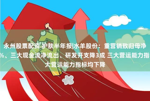 永州股票配资 护肤半年报|水羊股份：重营销致归母净利润-26%、三大现金流净流出、研发开支降3成 三