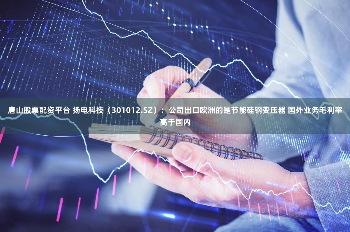唐山股票配资平台 扬电科技（301012.SZ）：公司出口欧洲的是节能硅钢变压器 国外业务毛利率高于国内