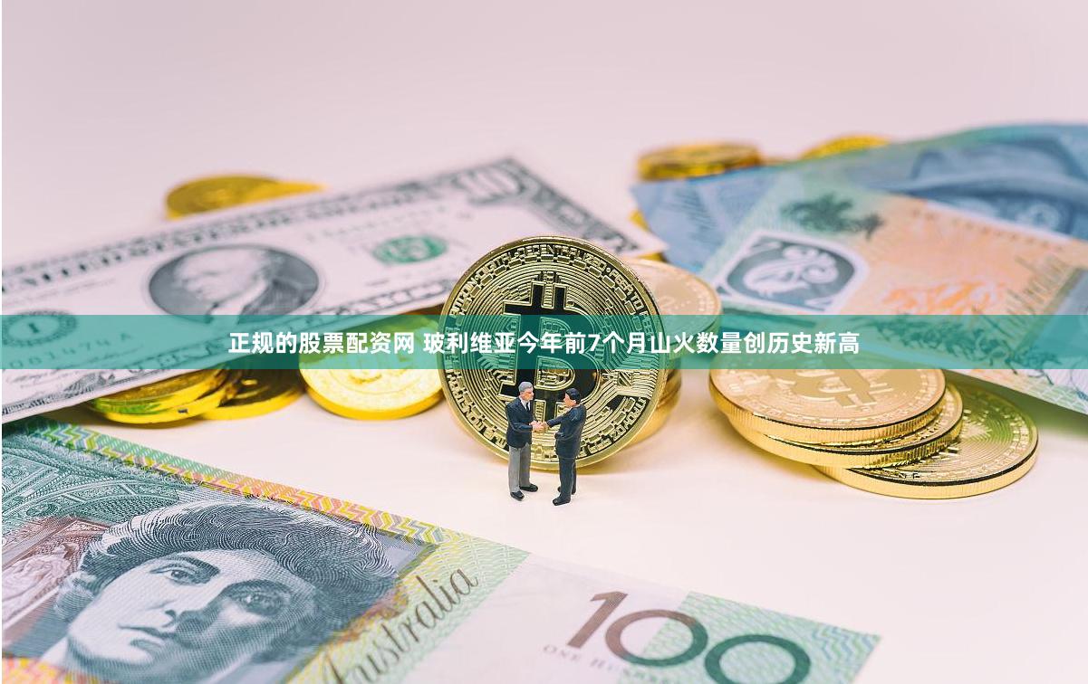正规的股票配资网 玻利维亚今年前7个月山火数量创历史新高