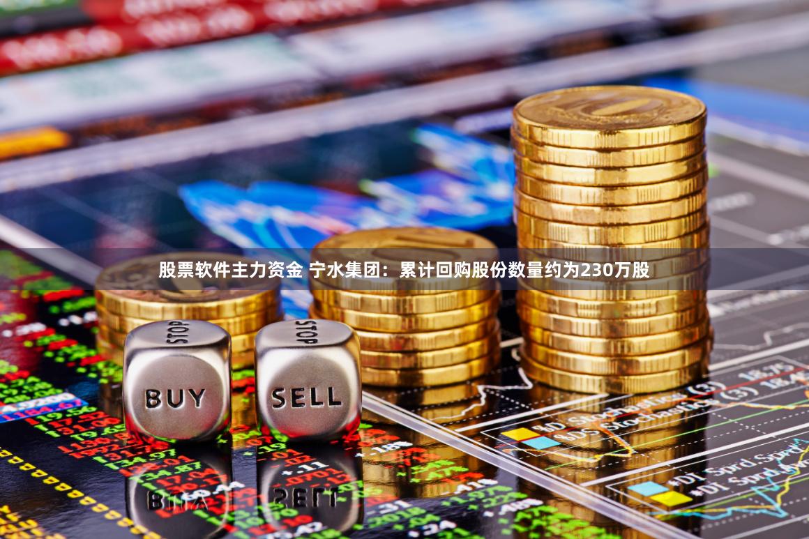 股票软件主力资金 宁水集团：累计回购股份数量约为230万股