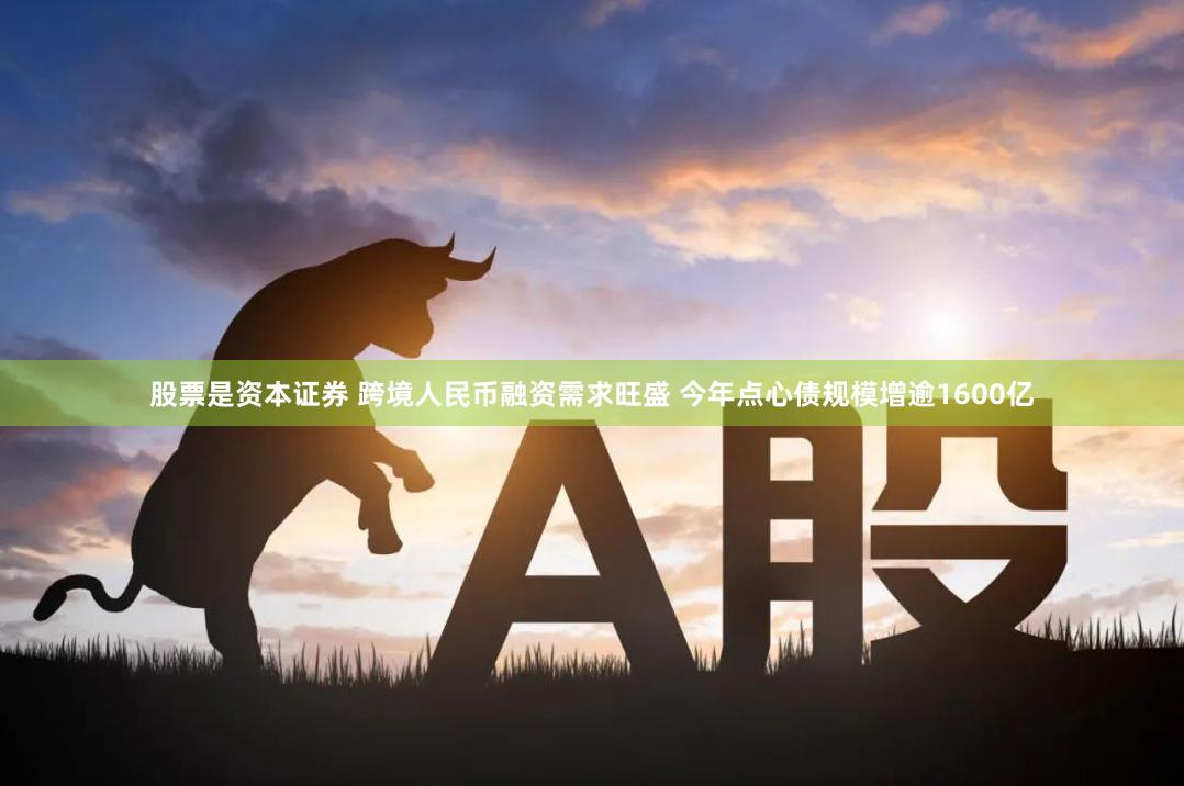 股票是资本证券 跨境人民币融资需求旺盛 今年点心债规模增逾1600亿