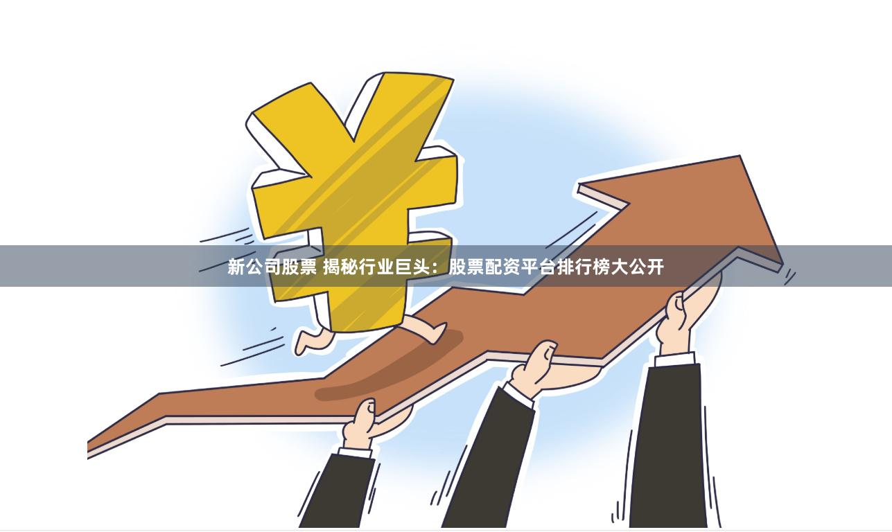 新公司股票 揭秘行业巨头:股票配资平台排行榜大公开
